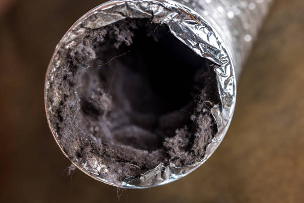 Best Duct Cleaning for Offices  in Avon Park, FL