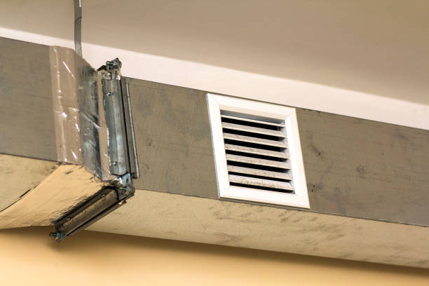 Best Air Duct Sanitizing Services  in Avon Park, FL
